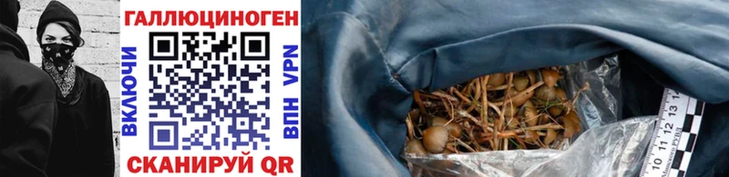 цены   Мамоново  Галлюциногенные грибы прущие грибы 